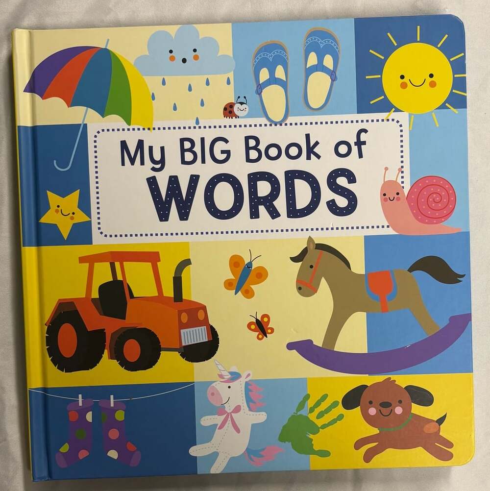 My Big Book of Words by Page Publications